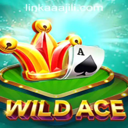 Exploring the Thrills of WildAce